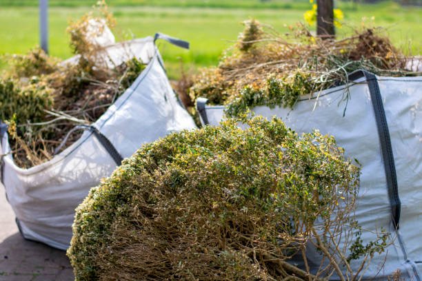 Trusted Cypress Quarters, FL Junk Removal Services Experts