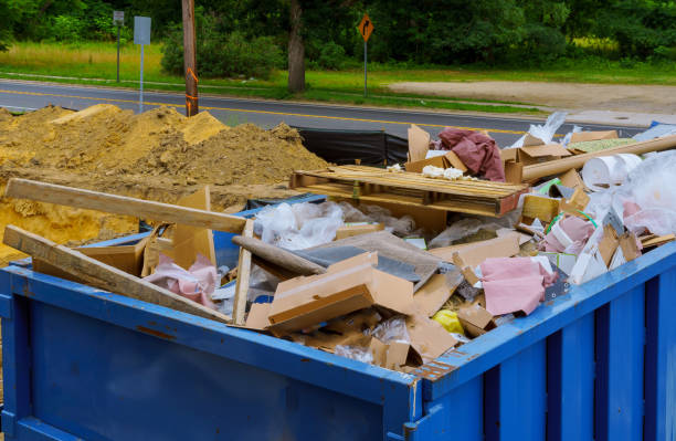 Best Shed Removal  in Cypress Quarters, FL